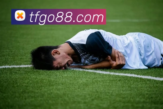 天富娱乐官网平台生态图