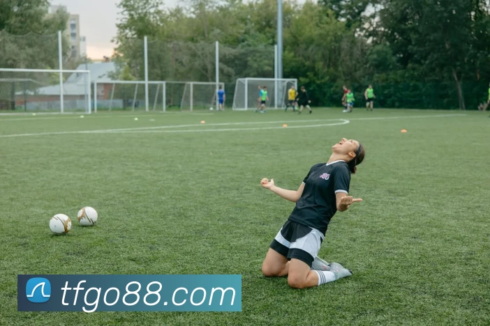 天富娱乐官网APP 封面图