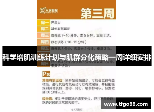 科学增肌训练计划与肌群分化策略一周详细安排